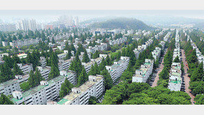 강남3구-마용성 사정권… 이르면 내달초 지역 선정