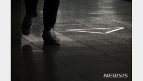 영장발부냐, 기각이냐…정경심, 23일 운명의 구속심사