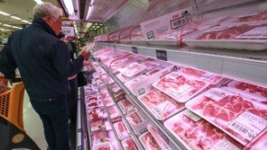 중국인들 돼지고기 값 폭등하자 개고기 먹는다