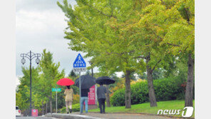 [날씨] ‘상강’ 24일 서리 대신 가을비…남해·제주 풍랑특보 가능