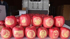 日 농가서 아베 얼굴 담긴 사과 만든 이유는?