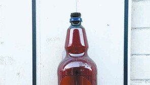 작은 쉼터[고양이 눈]