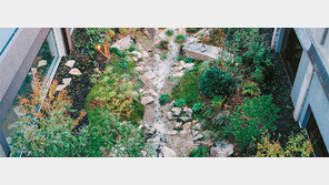 장식이 아닌 생명의 공간… 도심 정원의 대반전