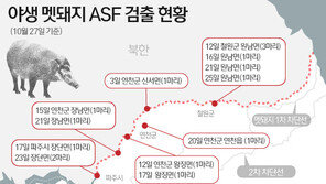 돼지열병에 28일 31개 군부대·병력 1945명 투입…3차 포획 추진