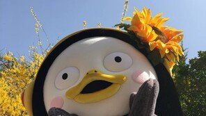 ‘어른이의 B급 뽀로로’ 지상파 선 넘는 EBS 대세 펭수