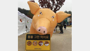 소고기보다 3배나 비싼 인공고기 인기…한국도 ‘비거니즘’ 열풍