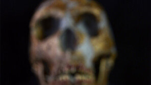 “스페인 동굴 독수리발톱, 네안데르탈인 최후유물”