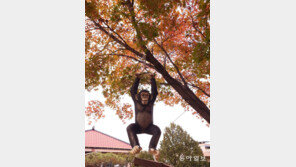 원숭이와 단풍[고양이 눈] 