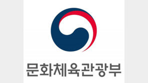 문화부, 게임 플랫폼별 별도 심의 폐지