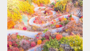 오색단풍에 숨은 한 마리 뱀, 단양 보발재 절경 인기↑