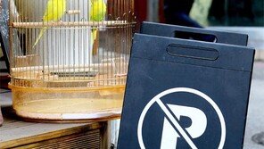 주차 금지[고양이 눈]