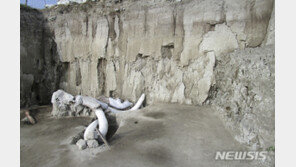 멕시코서 1만5000년전 인류가 만든 매머드 덫 발견