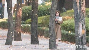 [퇴근길 한 컷]겨울의 시작 ‘입동‘ 하루 앞으로…