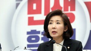 나경원 “북한은 대한민국 영토…北선원 추방은 헌법과 모순”