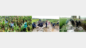 “올해 北 농작물 수확량, 평균 이하…내년에도 식량난”
