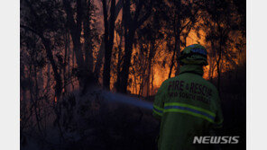 호주 뉴사우스웨일스주, 산불 확산에 비상사태 선포