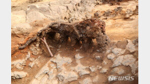 김해서 17세기 백자가마터 발굴…도자유물 3만점 확인