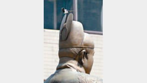 감히 어딜![고양이 눈]