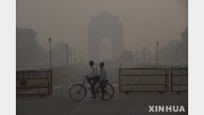 ‘대기질 악화’ 뉴델리, 14~15일 또 휴교령…석탄사용 공장가동 금지