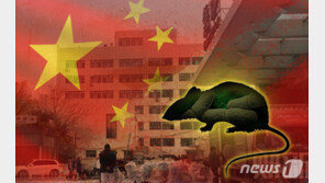 중국 돼지열병에 이어 흑사병까지 ‘설상가상’