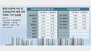 “정부가 투자할곳 찍어준 셈” 분상제 지역 집값 상승폭 더 컸다