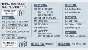 ‘패트 선거법’ 통과시 지역구 26곳 통폐합