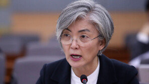 동작을 나경원 대항마는 강경화? 김현종?