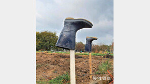 일 마친 장화[고양이 눈]