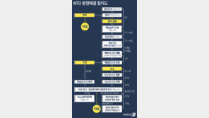‘日수출규제’ WTO 재판 절차 돌입 가능성…패널 설치부터 상소심까지