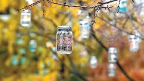 올해의 한마디[고양이 눈]