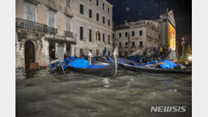 홍수에 화난 베네치아 시민들 “대형 크루즈 입항 반대” 시위