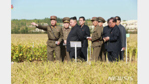 WFP “대북지원자금 확보…北 취약 계층 식량 지원 정상화”