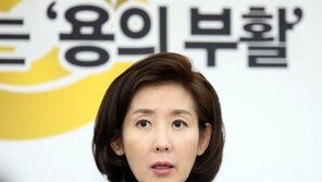 나경원 “美에 총선 전 북미회담 우려 전달”