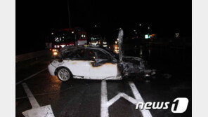 내년 1월 車보험료 오른다…손보업계 요율 검증 의뢰