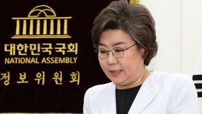 국정원 “北, 대구경 대신 76㎜ 해안포 사격은 고심한 것으로 보여”