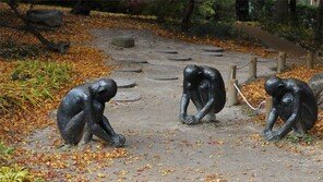 낙엽 줍기[고양이 눈]