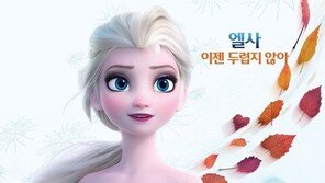 ‘겨울왕국2’, 14일만에 916만↑…시리즈 ‘연속 1000만’ 눈앞