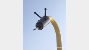 임시 휴업[고양이 눈]