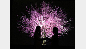 리사박 작품 ‘블루밍’, 싱가포르 개항 200주년 기념 특별전서 전시 중