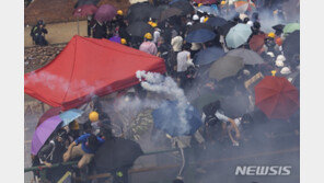 홍콩 시위대 “최루탄 맞은 23% 호흡곤란·발진 등 후유증…성분 공개하라”