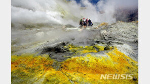 뉴질랜드 활화산 관광명소 화이트섬서 분화…“관광객 상당수 실종·부상”
