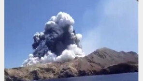 [영상]뉴질랜드 화산 폭발, 5명 사망-8명 실종…혼비백산