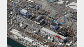 산케이 “후쿠시마 방사성 오염 볏짚, 지난 태풍에 유실됐다 회수”