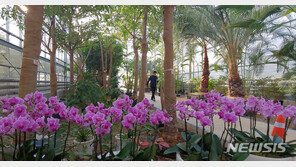 죽어가는 꽃도 살려낸다…아세요? 인천공항 식물병원