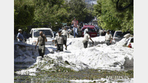 “멕시코 과달라하라 농장서 발굴된 유해, 최소 50명의 것”