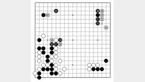 [바둑]보소프트컵 세계인공지능바둑대회… 마지막 기회