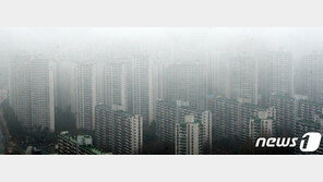 강남 아파트 매도호가 하락…다음주가 ‘분수령’