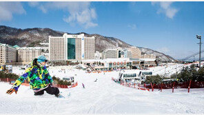 비발디파크 “눈밭에서 펭수와 인증샷 어떻습니까↗”