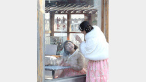 약속다방[고양이 눈] 