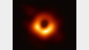 올 과학계 최대 사건은 ‘블랙홀 촬영’